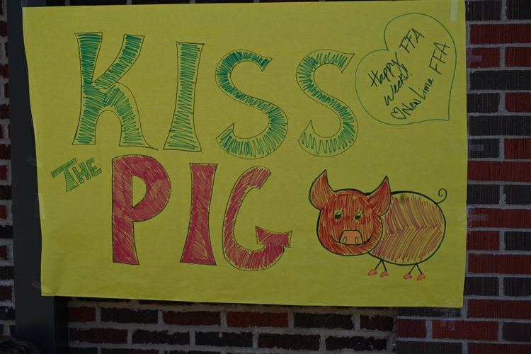 Kiss the Pig