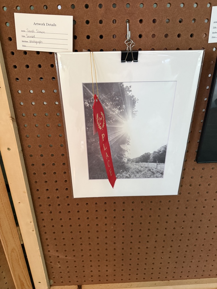 Sorghum Day Art Contest