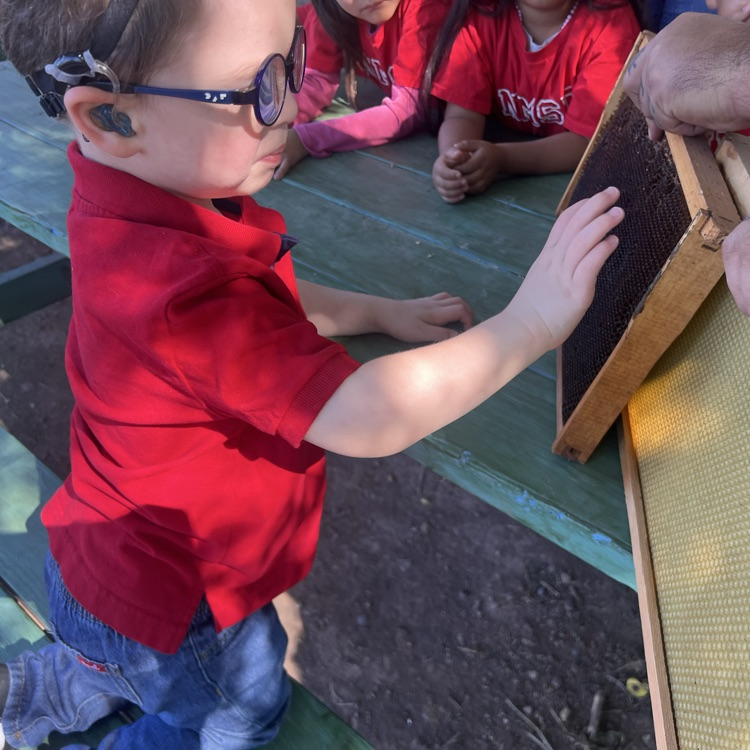 learning about honeycomb