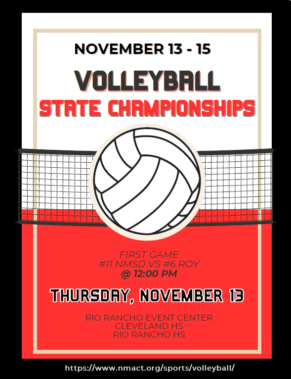 VB Flyer