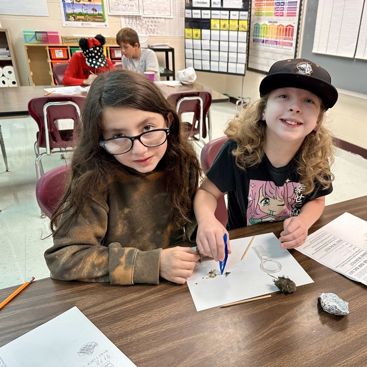 Fifth Grade Owl 🦉 Pellet Lab