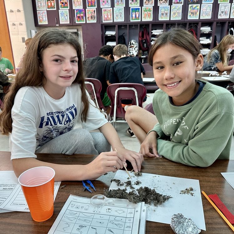 Fifth Grade Owl 🦉 Pellet Lab