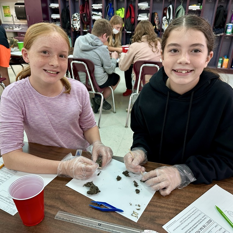 Fifth Grade Owl 🦉 Pellet Lab