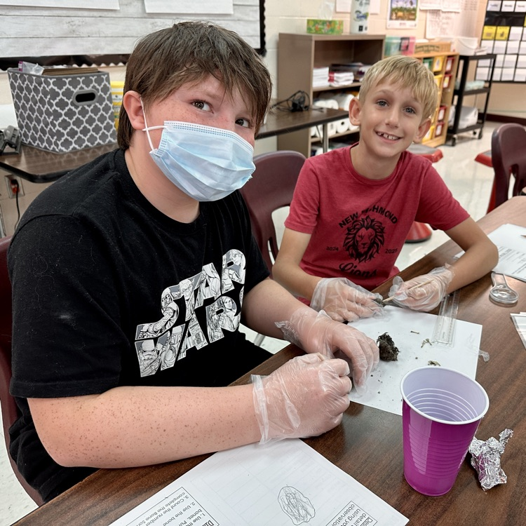 Fifth Grade Owl 🦉 Pellet Lab