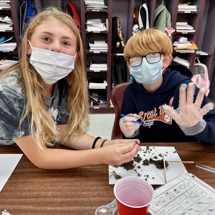 Fifth Grade Owl 🦉 Pellet Lab