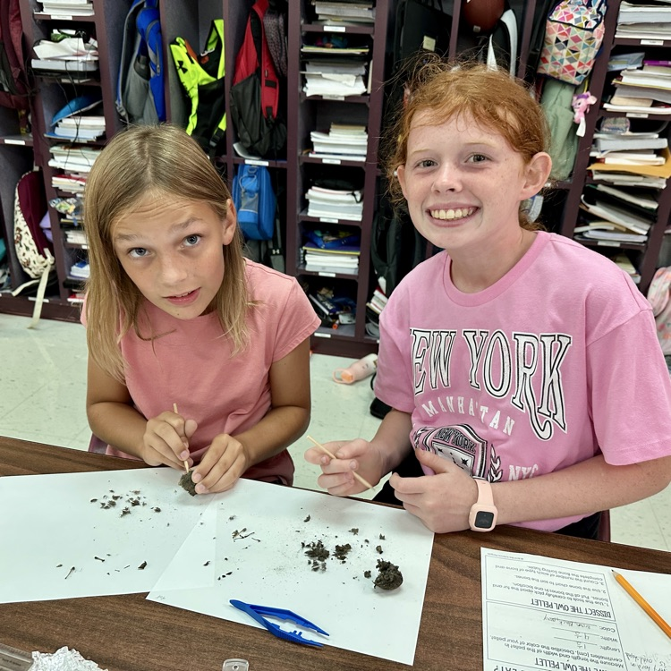Fifth Grade Owl 🦉 Pellet Lab