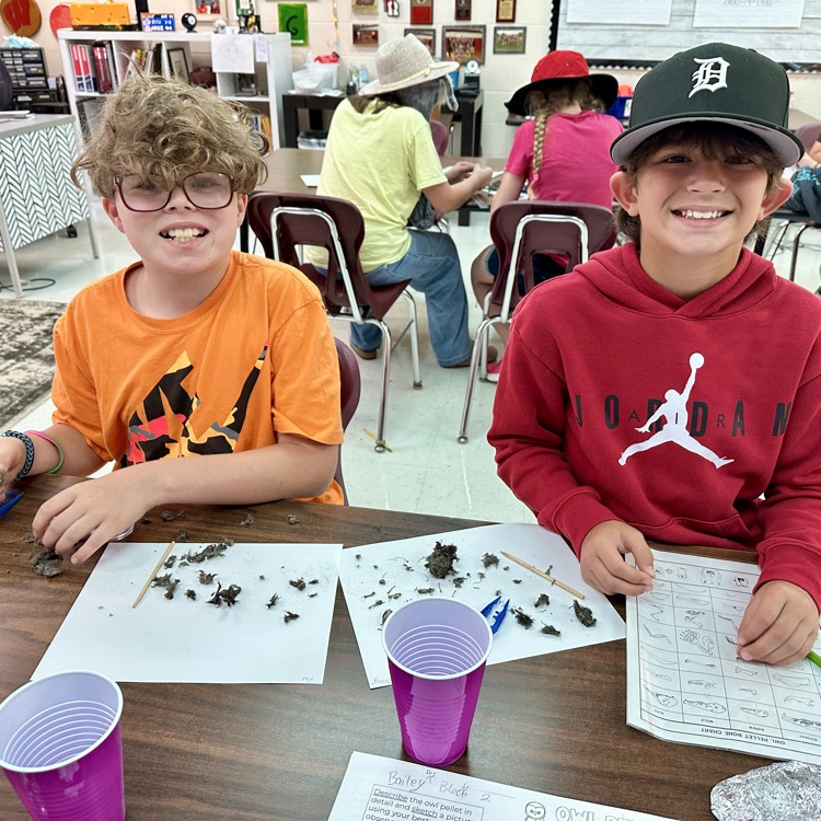 Fifth Grade Owl 🦉 Pellet Lab