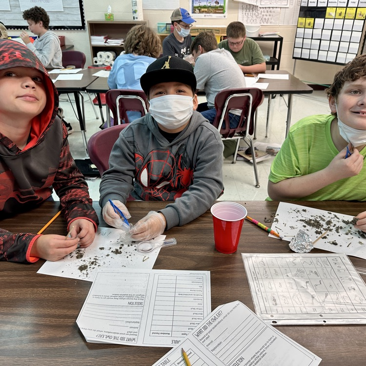 Fifth Grade Owl 🦉 Pellet Lab
