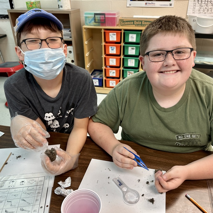 Fifth Grade Owl 🦉 Pellet Lab