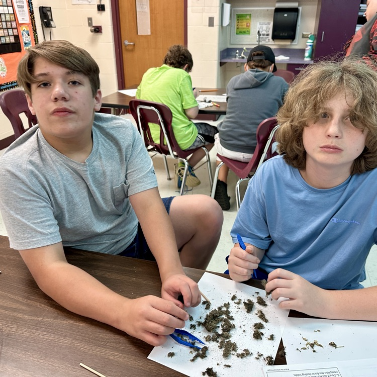 Fifth Grade Owl 🦉 Pellet Lab