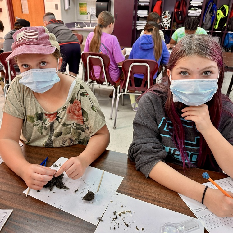 Fifth Grade Owl 🦉 Pellet Lab