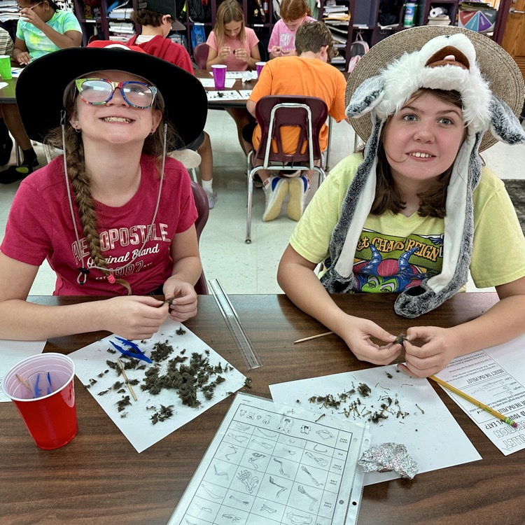 Fifth Grade Owl 🦉 Pellet Lab