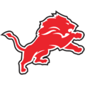 Lion Image