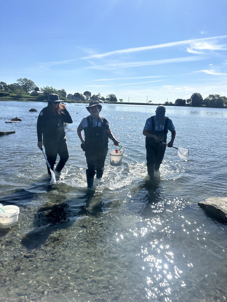 teachers in waders in the long island sound