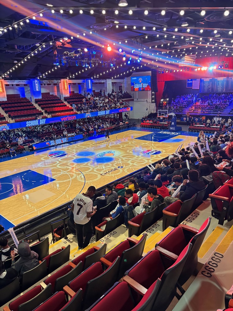 Westchester Knicks Game