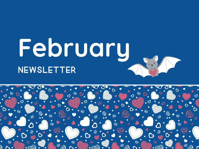 February 2026 Header