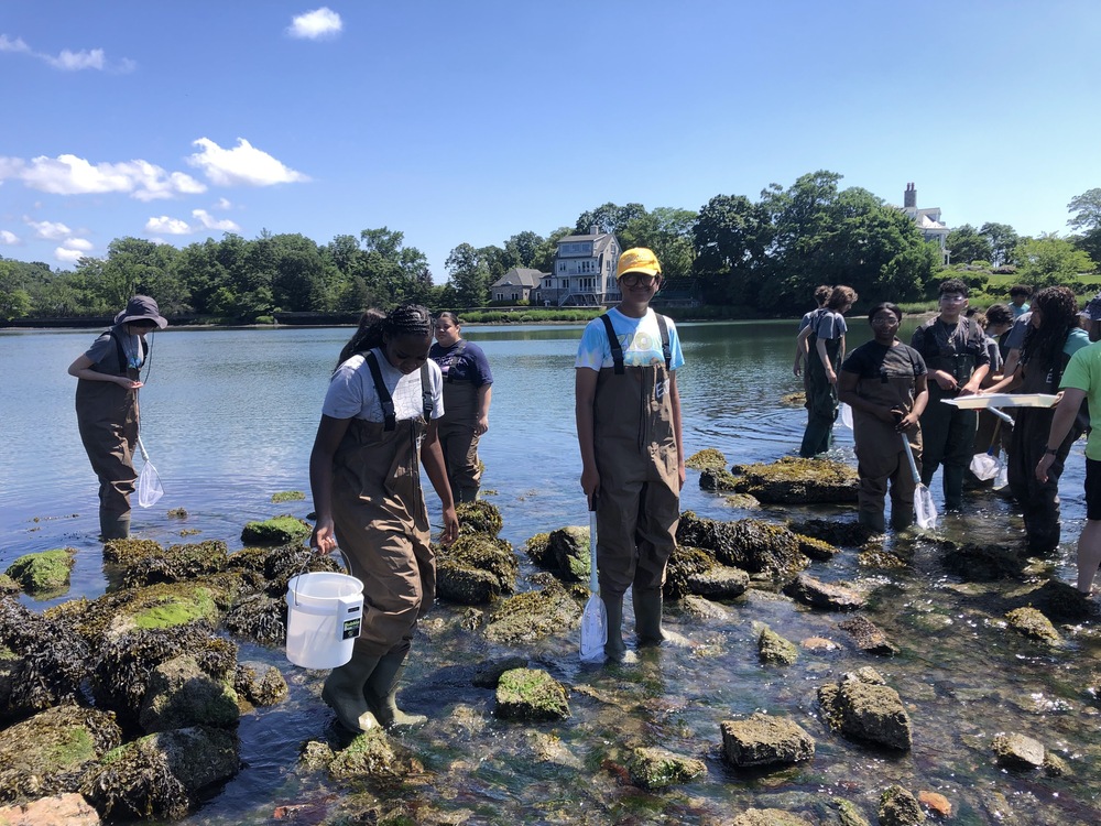 students in waders in the long Island sound