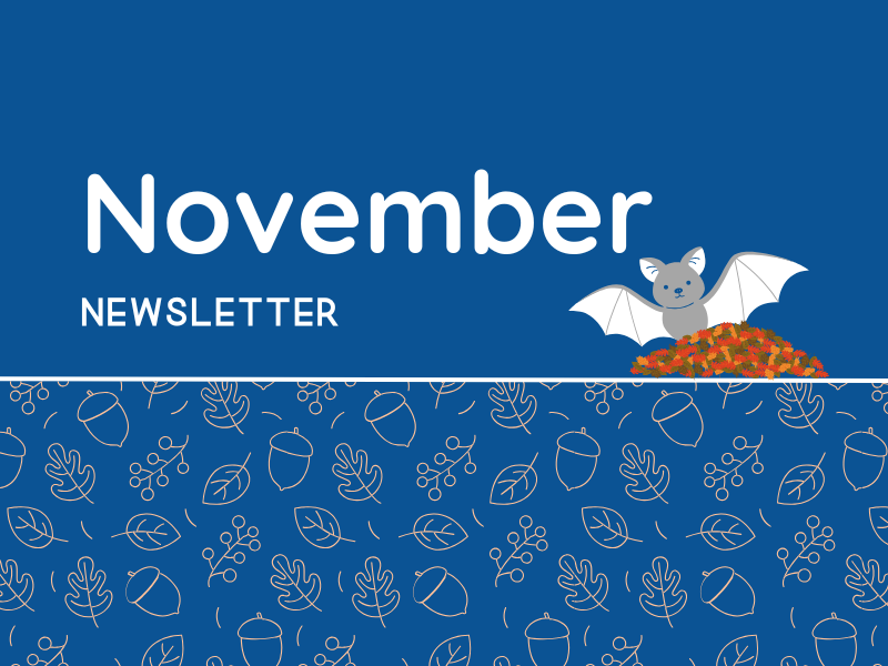 November Newsletter Header