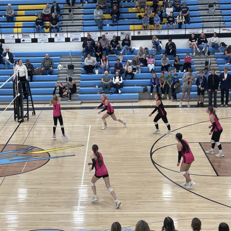 vb