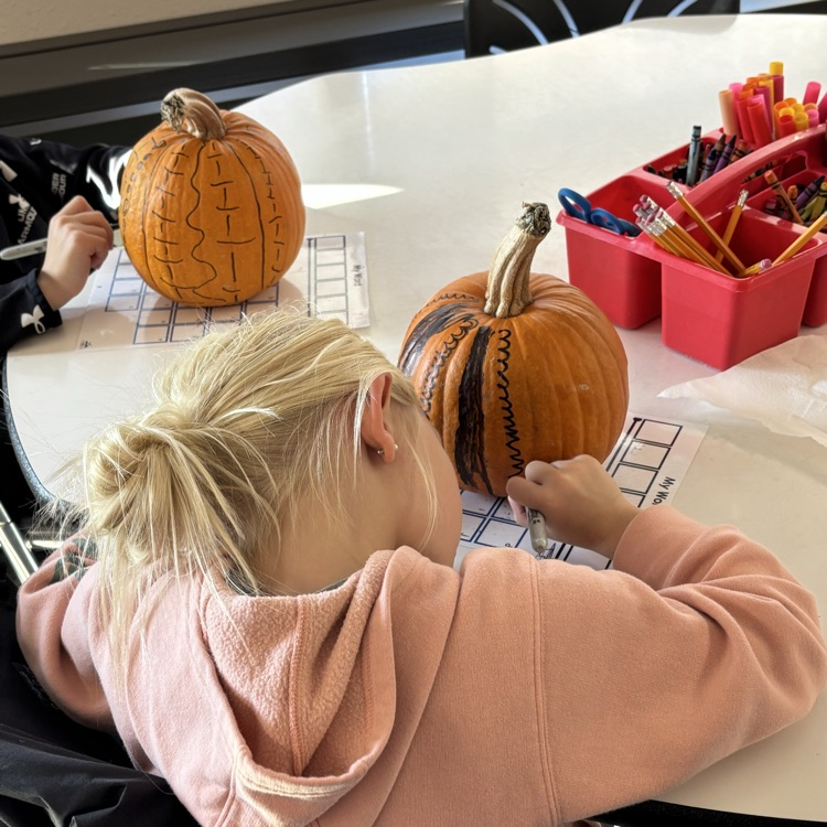 2nd grade decorated pumpkins at school today!