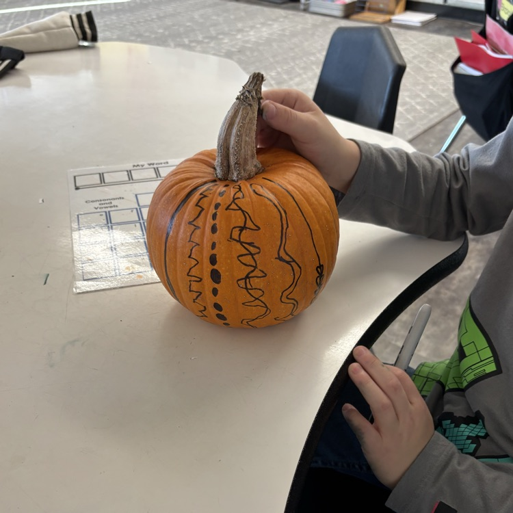 2nd grade decorated pumpkins at school today!