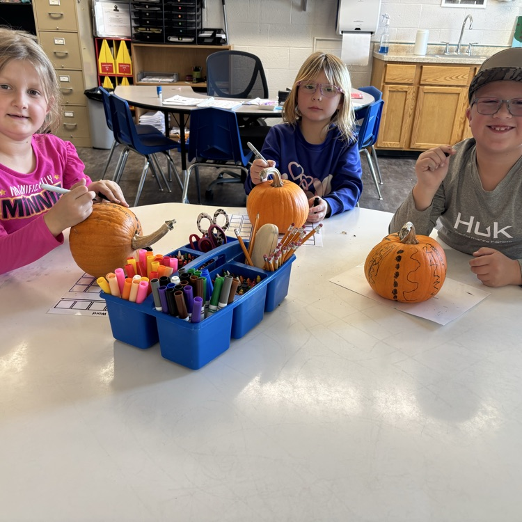 2nd grade decorated pumpkins at school today!