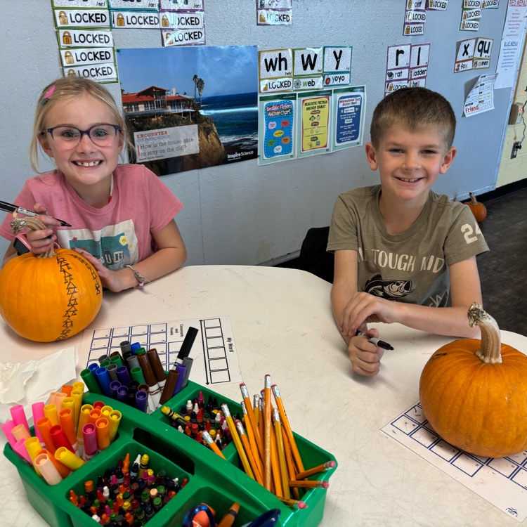 2nd grade decorated pumpkins at school today!