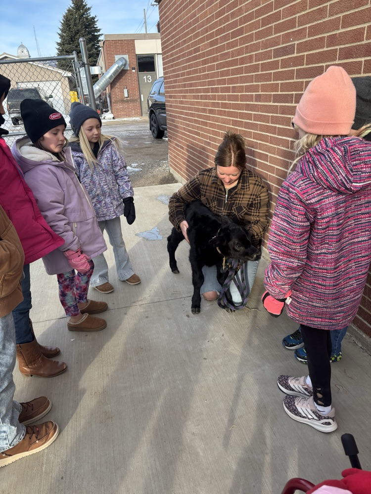 Thank you to Alissa for bringing a calf in to share with our students!