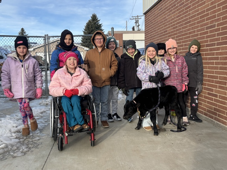Thank you to Alissa for bringing a calf in to share with our students!