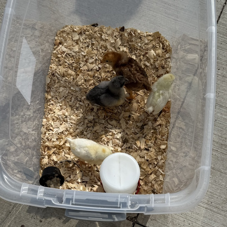 We had some special visitors today!