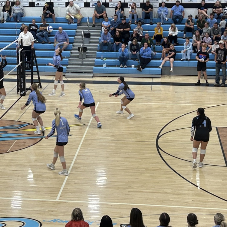 vb