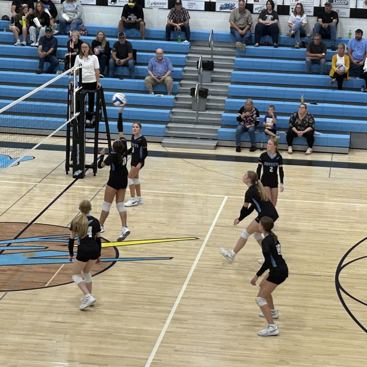 vb