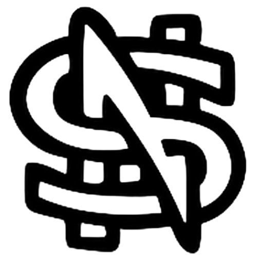 NS Logo