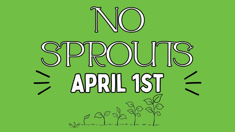 no sprouts today