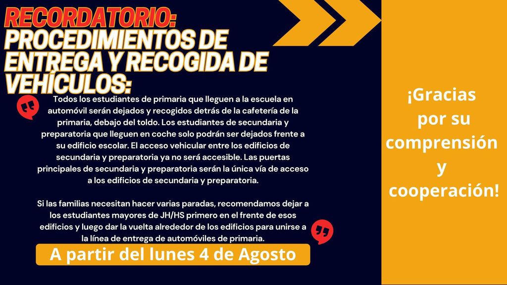 Procedures Spanish