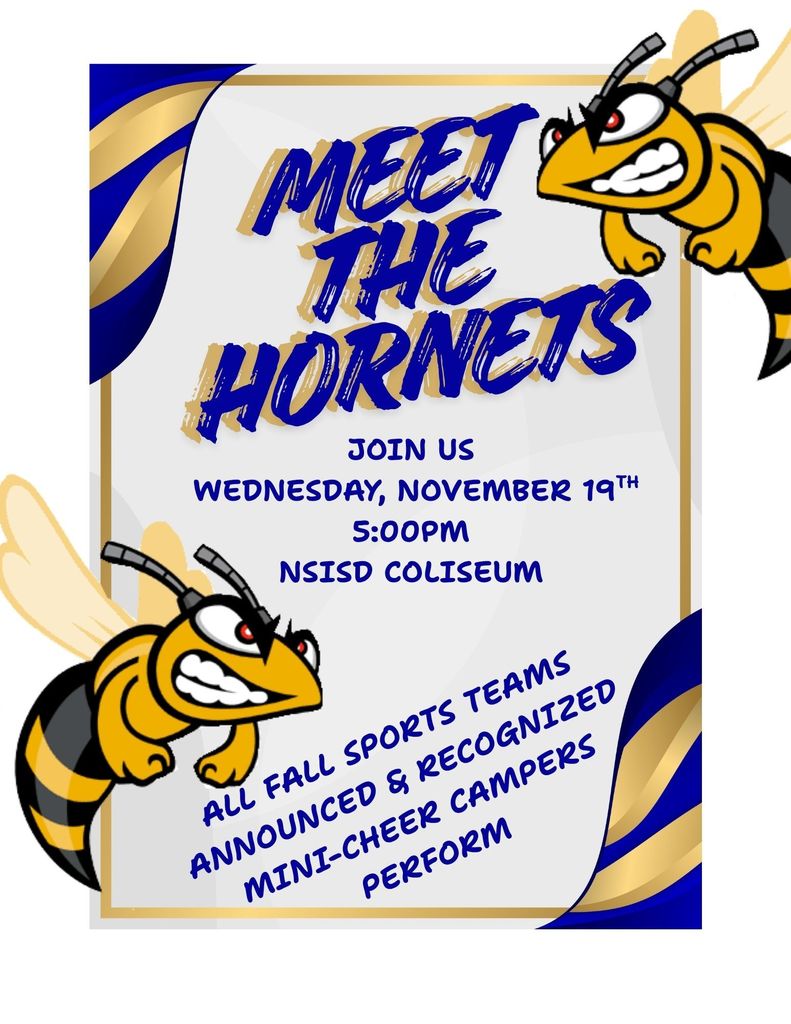 MEET THE HORNETS