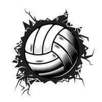 volleyball