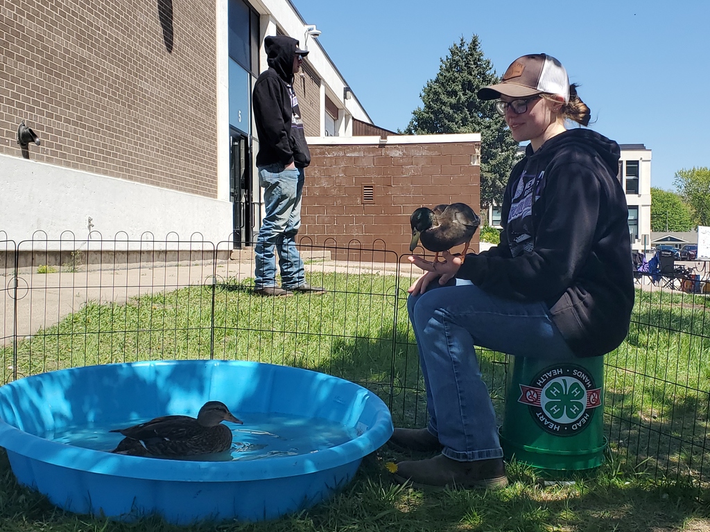 2 FFA students with ducks, one duck in a kiddie pool and one in the hands of a HS student.d