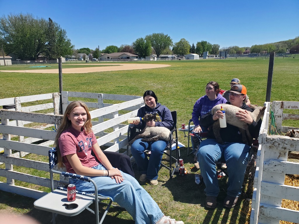 5 students siting by pens, two bottle feeding young sheep in their laps.
