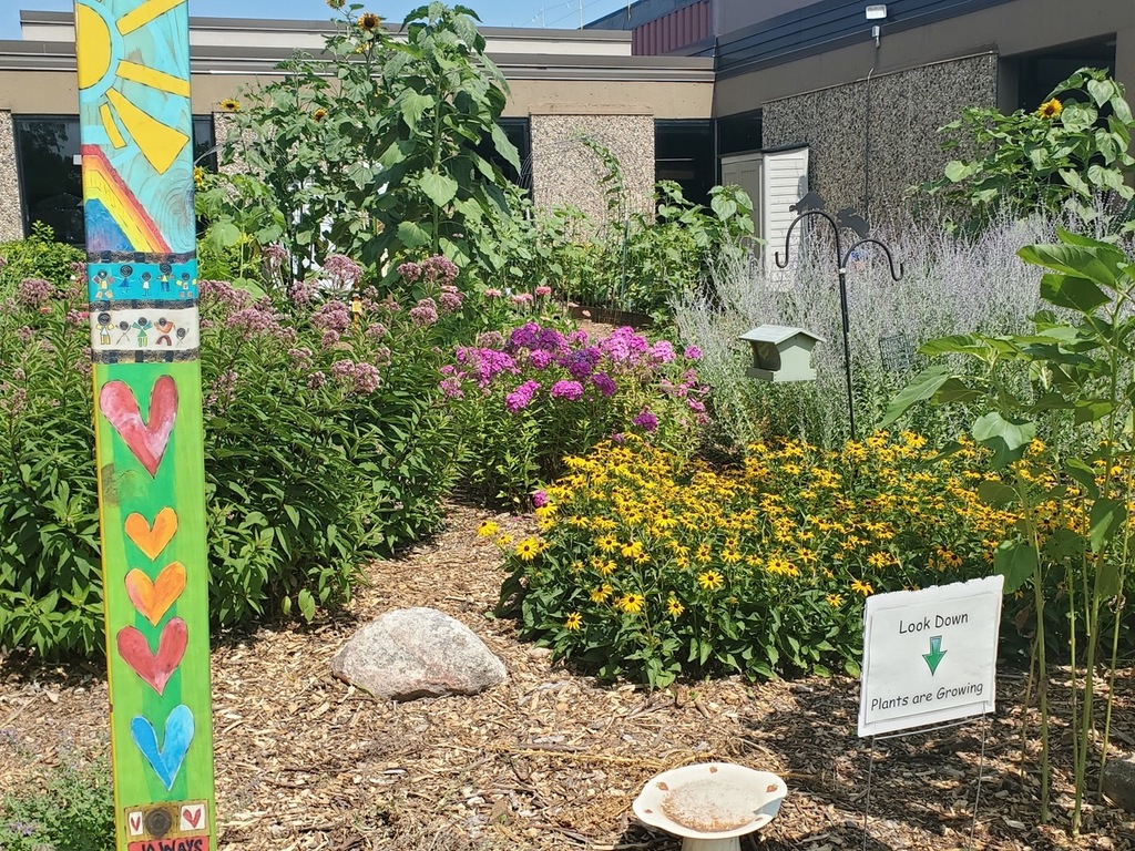 WLC's garden from one angle.