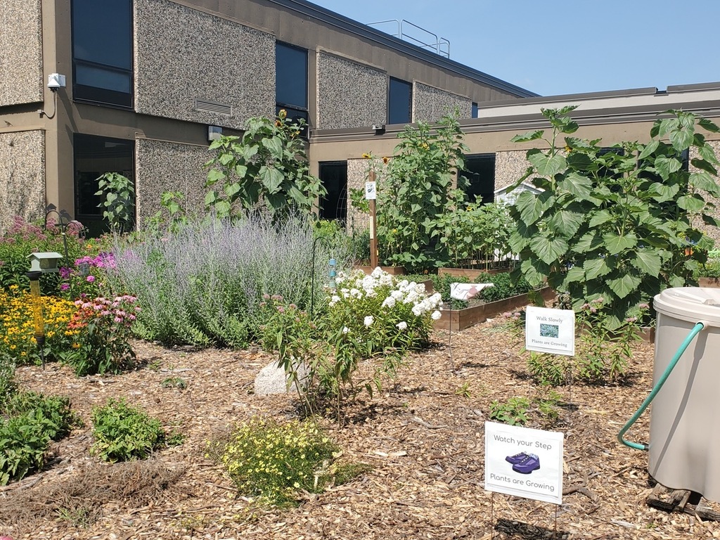 WLC's garden from another angle.