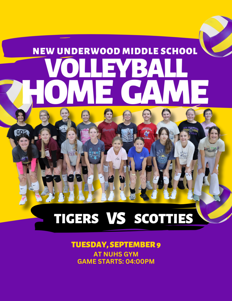 NUMS Volleyball Poster