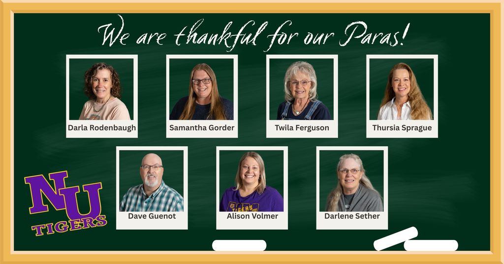 Paraprofessional portraits