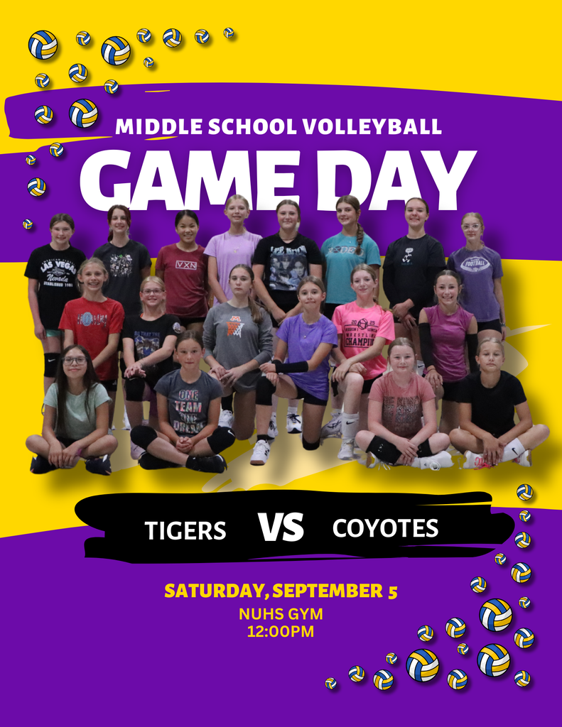 MSVB