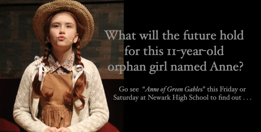 what will the future hold for this 11 year old orphan girl named Anne