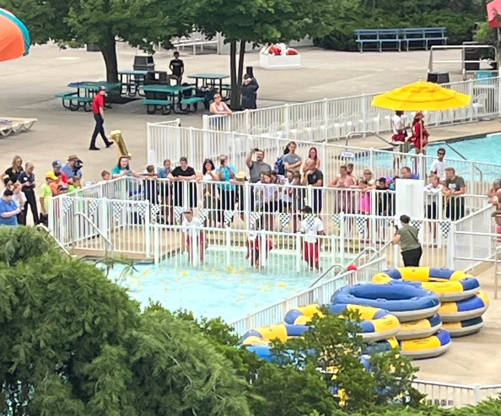 Duck Race