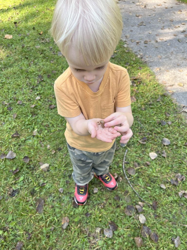 Bug Catching