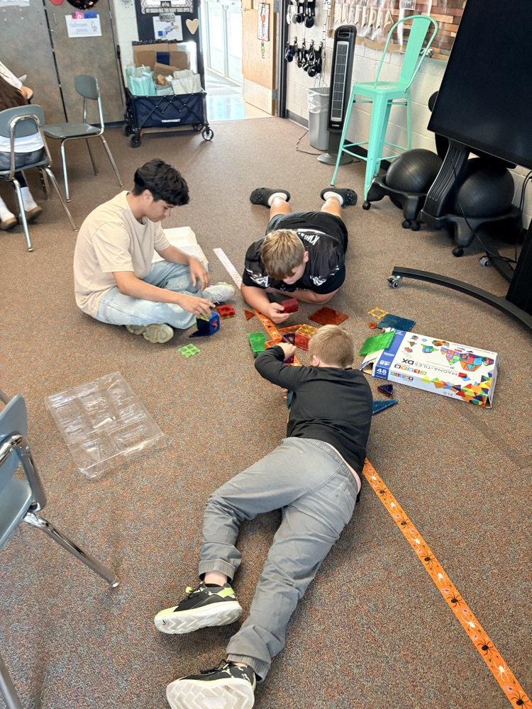 …Magnatiles for the boys