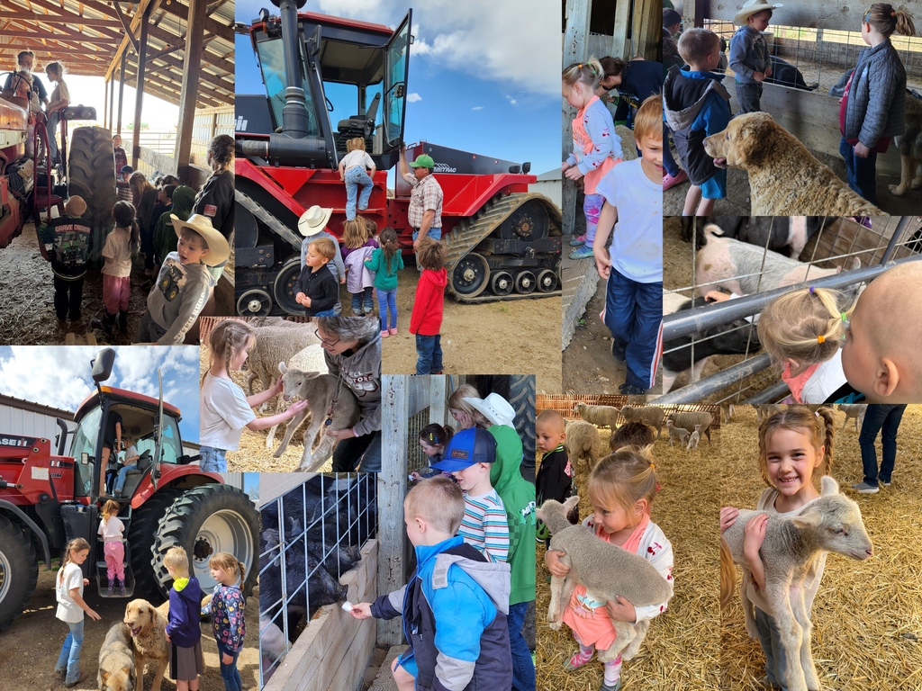 Kindergarten Preschool Fieldtrip