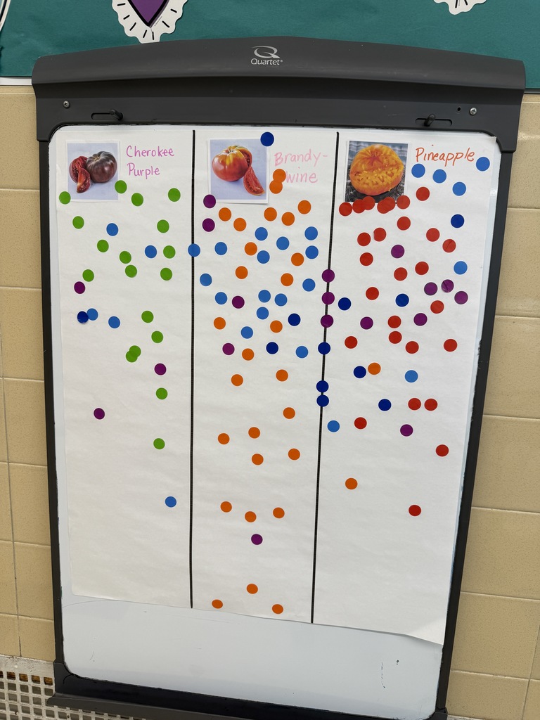 tomatoes taste test voting